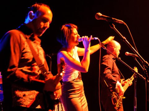 Christchurch covers band Acoustic Solution
